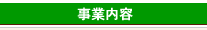 ���Ɠ��e